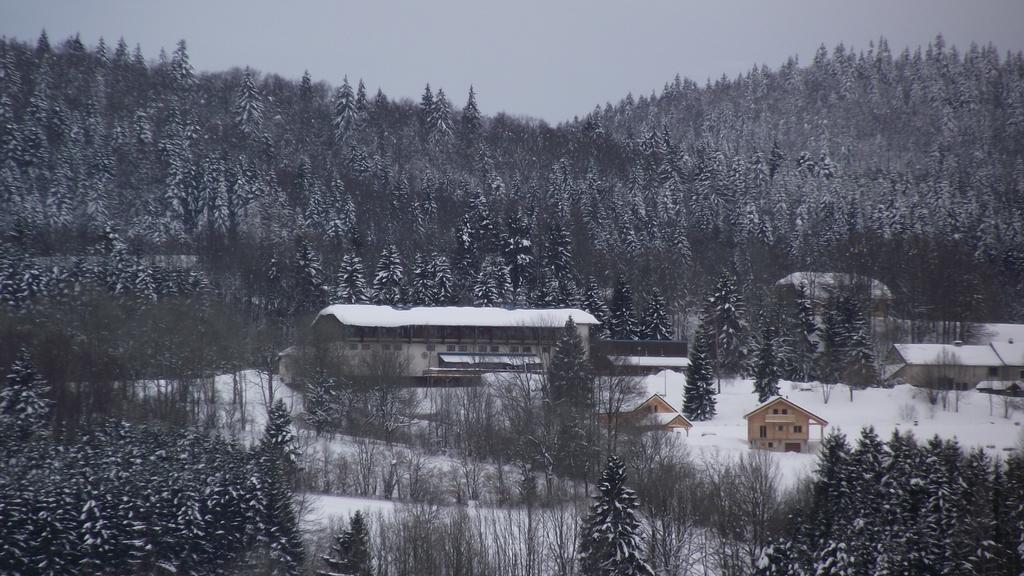 Hotel Le Grand Chalet Foncine-le-Haut Eksteriør billede