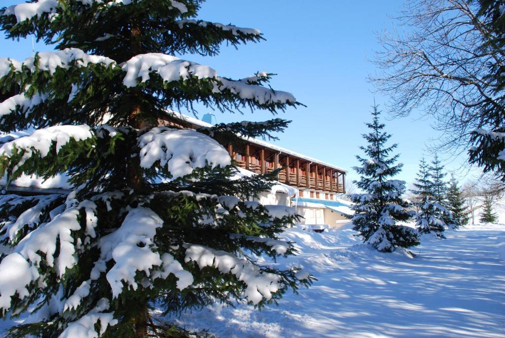 Hotel Le Grand Chalet Foncine-le-Haut Eksteriør billede