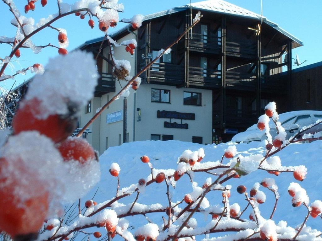 Hotel Le Grand Chalet Foncine-le-Haut Eksteriør billede